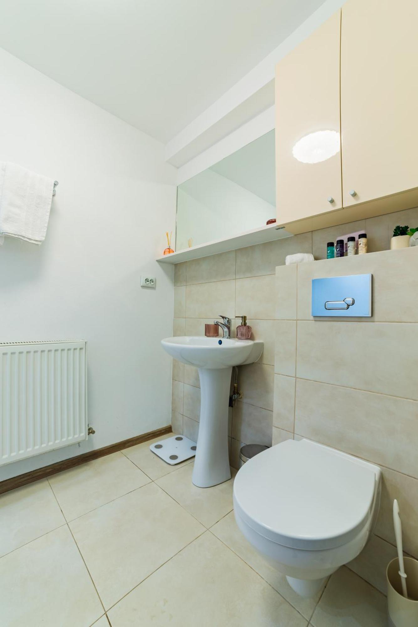 Sabin Apartments Private Parking Brasov Luaran gambar